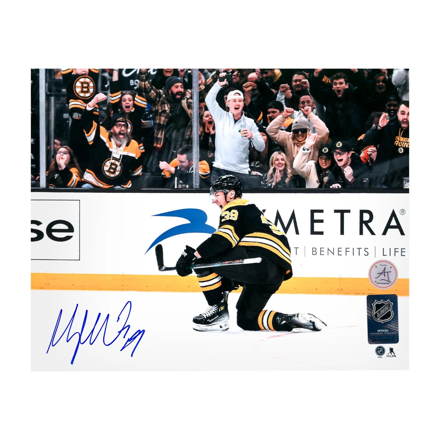 Morgan Geekie Autographed Boston Bruins Goal Celebration 8x10 Photo Morgan Geekie Photo 8x10-goal-celebration, Boston Bruins, supplier stock photo
