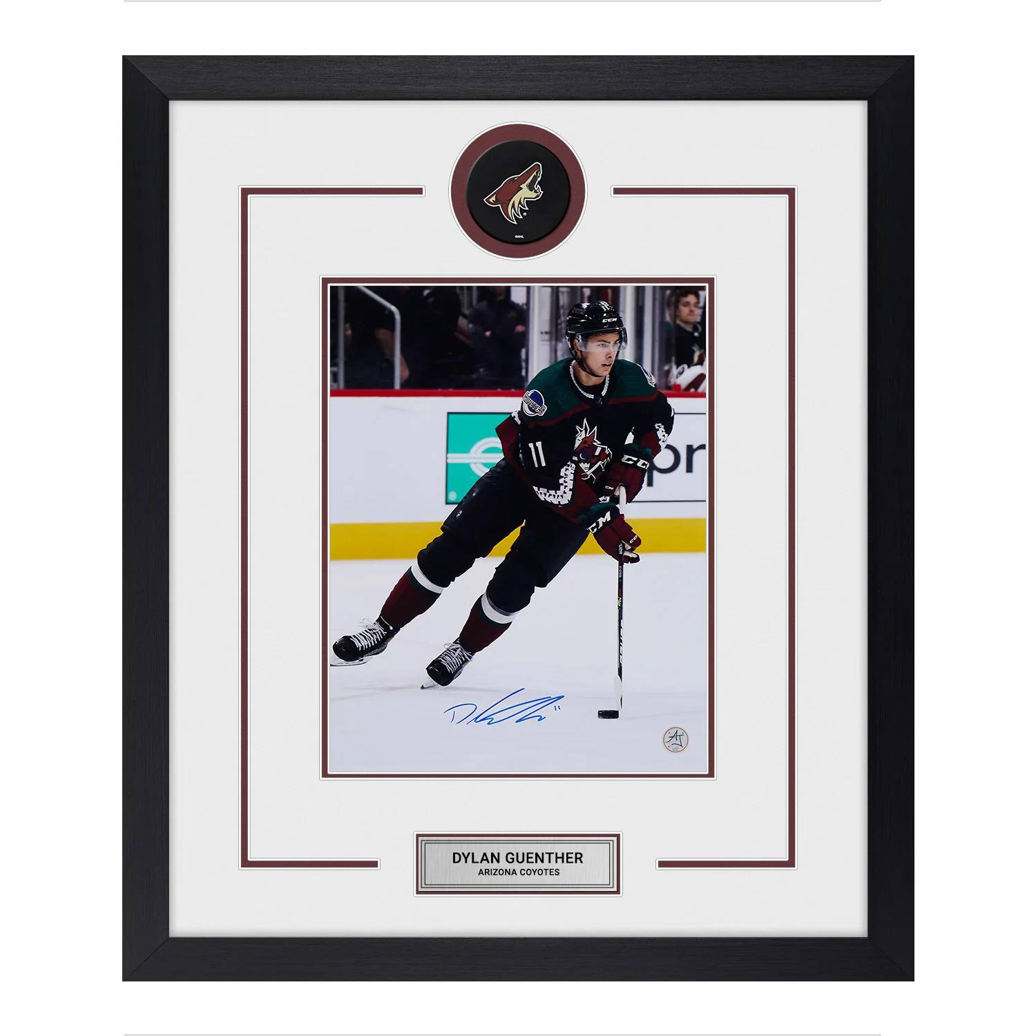 Dylan Guenther Autographed Arizona Coyotes Puck Logo 23x27 Frame Dylan Guenther Puck 23x27-logo-frame, Arizona Coyotes, supplier stock photo