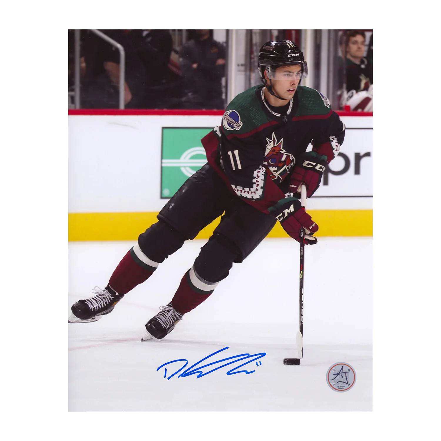 Dylan Guenther Autographed Arizona Coyotes Rookie 8x10 Photo Dylan Guenther Photo 8x10-rookie, Arizona Coyotes, supplier stock photo
