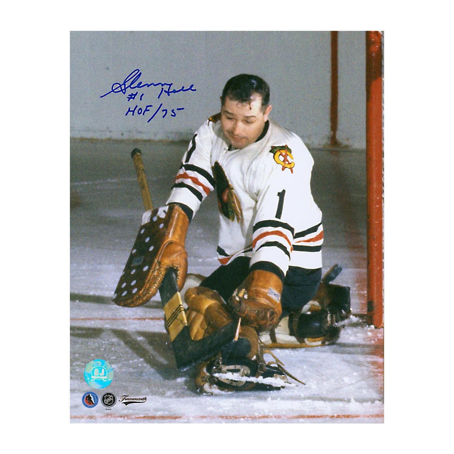 Glenn Hall Signed Chicago Blackhawks Glove Save 8x10 Photo Glenn Hall Glove 8x10-save, Chicago Blackhawks, supplier stock photo