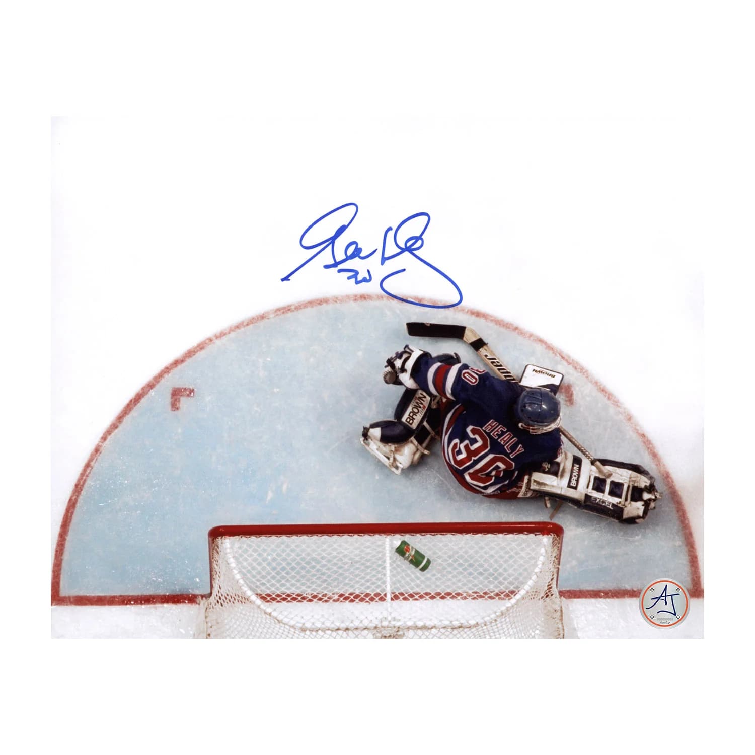 Glenn Healy Autographed New York Rangers Aerial View 8x10 Photo Glenn Healy Photo 8x10-aerial-view, New York Rangers, supplier stock photo