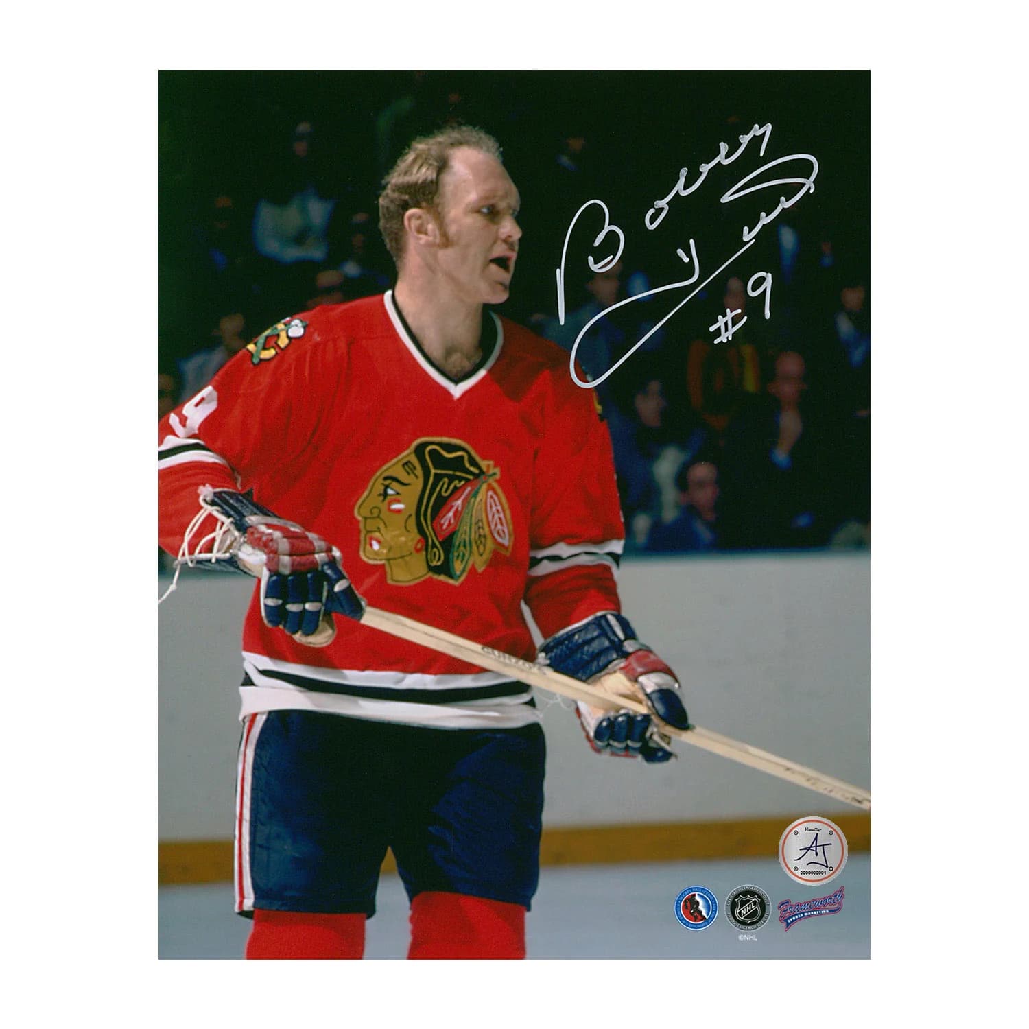 Bobby Hull Autographed Chicago Blackhawks Half Body Portrait 8x10 Photo Bobby Hull Photo 8x10-half-body-portrait, Chicago Blackhawks, supplier stock photo