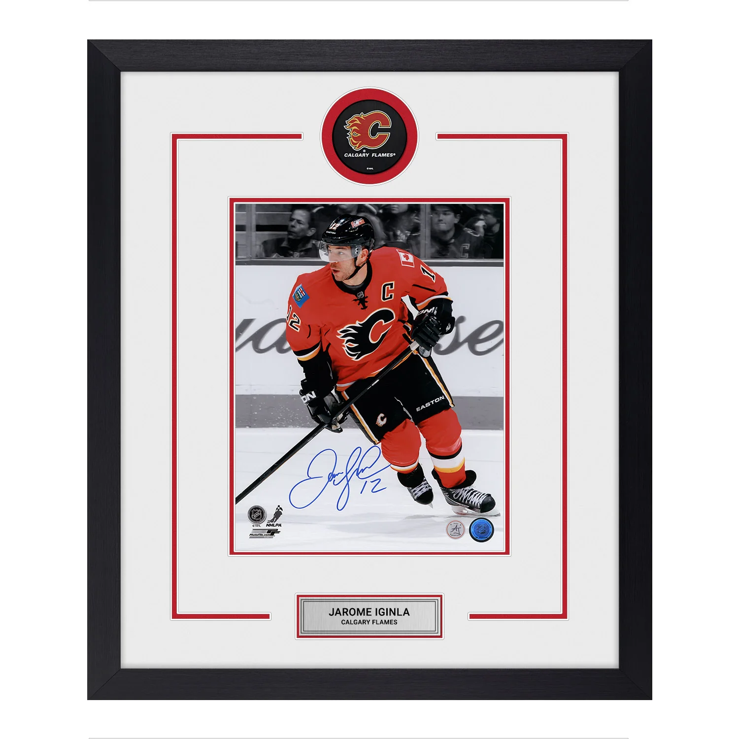 Jarome Iginla Autographed Calgary Flames Puck Logo 23x27 Frame Jarome Iginla Puck 23x27-logo-frame, Calgary Flames, supplier stock photo