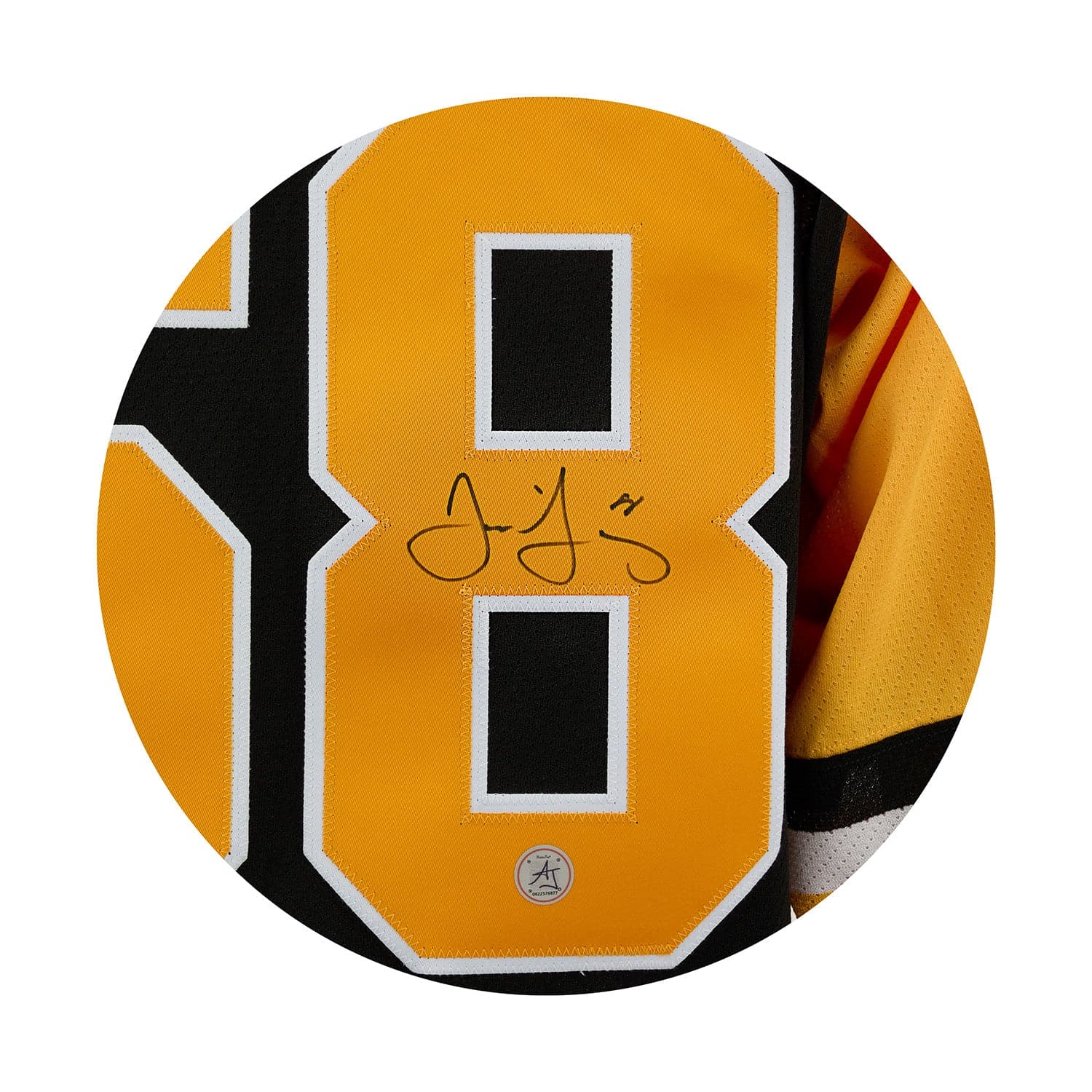 Jaromir Jagr Pittsburgh Penguins Signed 1992 Stanley Cup Team Classic Jersey Jaromir Jagr Jersey jaromir-jagr-1992-stanley-cup-team, Pittsburgh Penguins, view 3, supplier stock photo