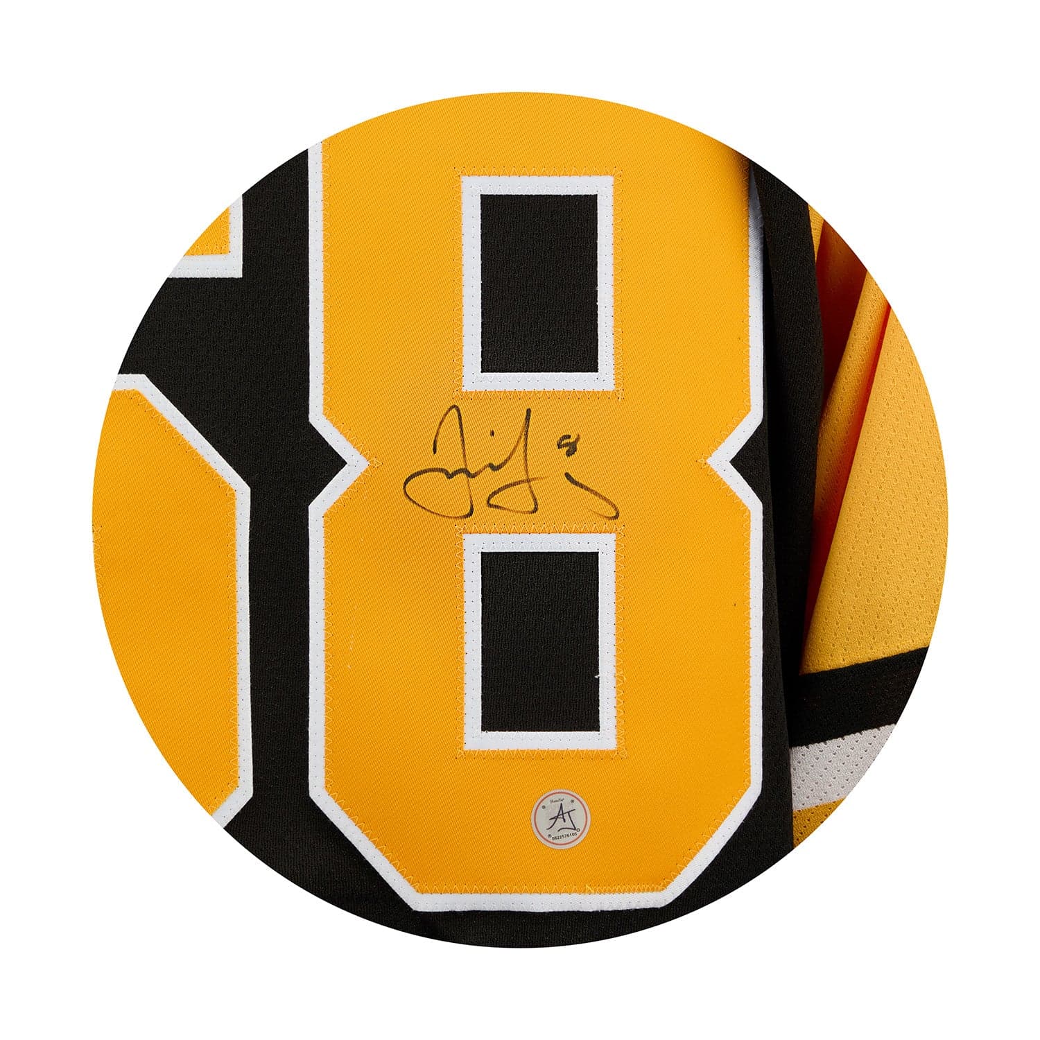Jaromir Jagr Pittsburgh Penguins Signed 1992 Stanley Cup Team Classic Jersey Jaromir Jagr Jersey jaromir-jagr-1992-stanley-cup-team, Pittsburgh Penguins, view 3, supplier stock photo