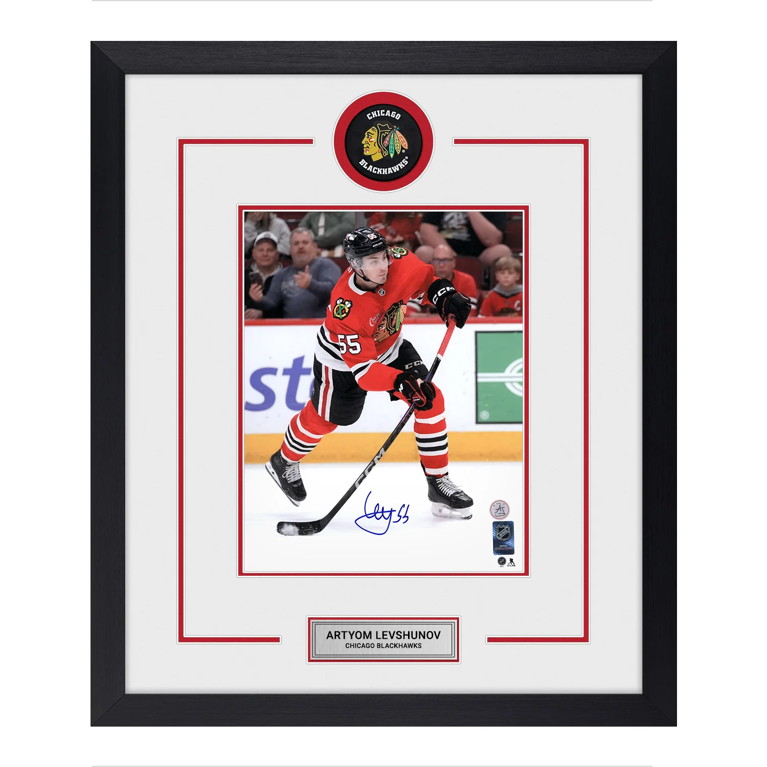 Artyom Levshunov Autographed Chicago Blackhawks Puck Logo 22x26 Frame Artyom Levshunov Puck 22x26-logo-frame, Chicago Blackhawks, supplier stock photo