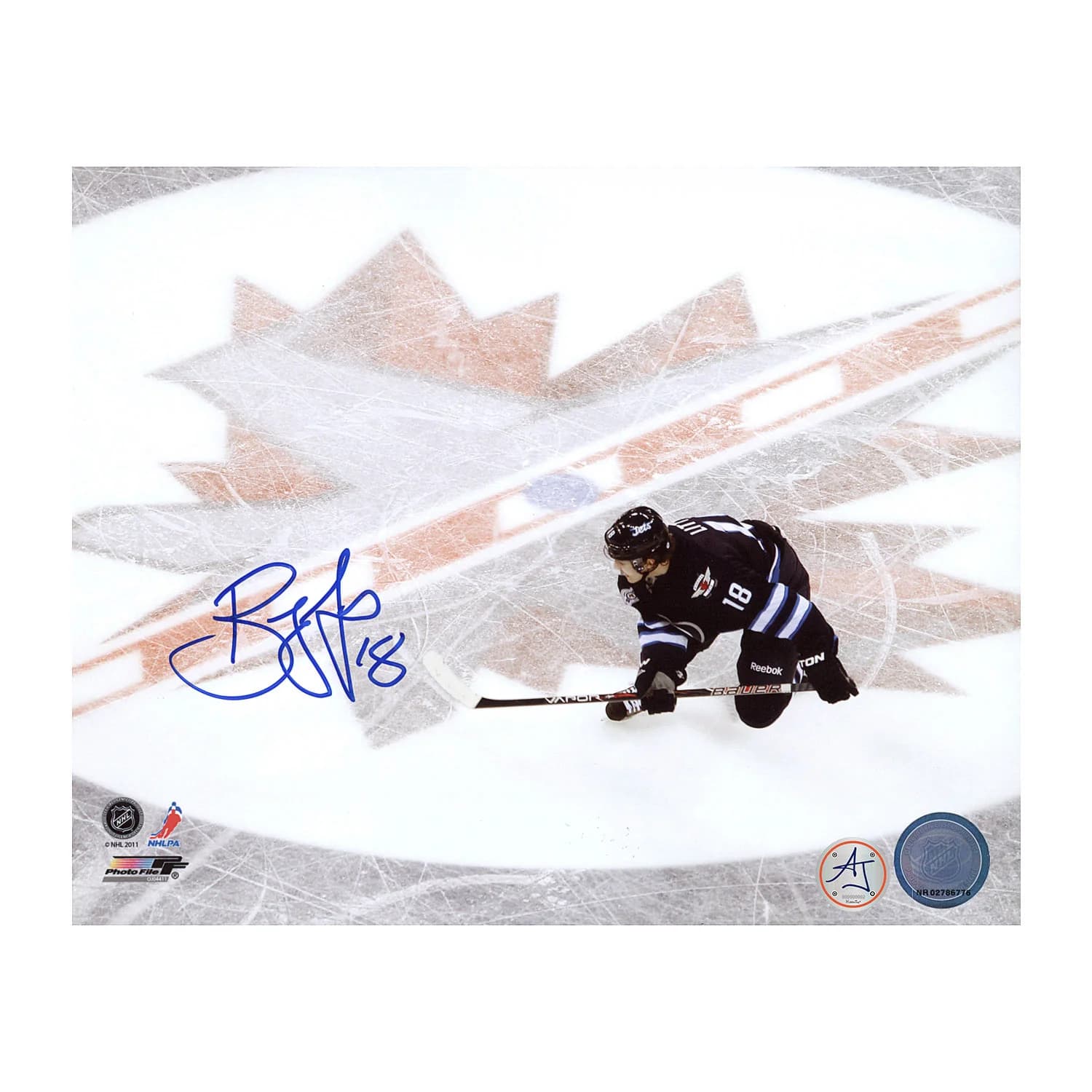 Bryan Little Autographed Winnipeg Jets Aerial View 8x10 Photo Bryan Little Photo 8x10-aerial-view, Winnipeg Jets, supplier stock photo