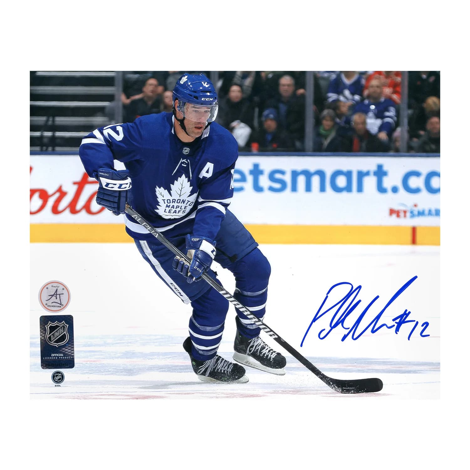 Patrick Marleau Signed Toronto Maple Leafs Game Action 8x10 Photo Patrick Marleau Photo 8x10-game-action, Toronto Maple Leafs, supplier stock photo