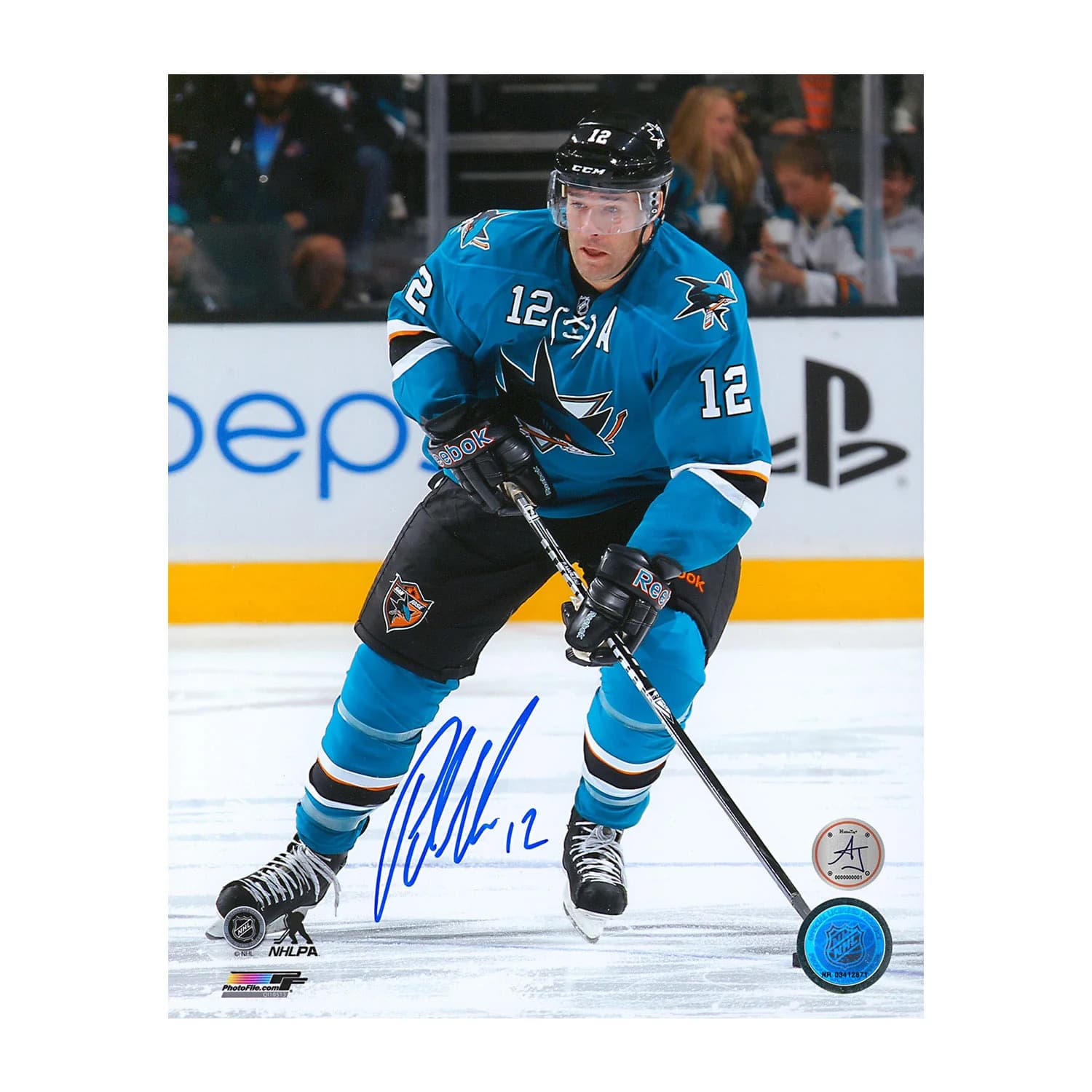 Patrick Marleau Signed San Jose Sharks Hockey 8x10 Photo Patrick Marleau Photo 8x10-hockey, San Jose Sharks, supplier stock photo