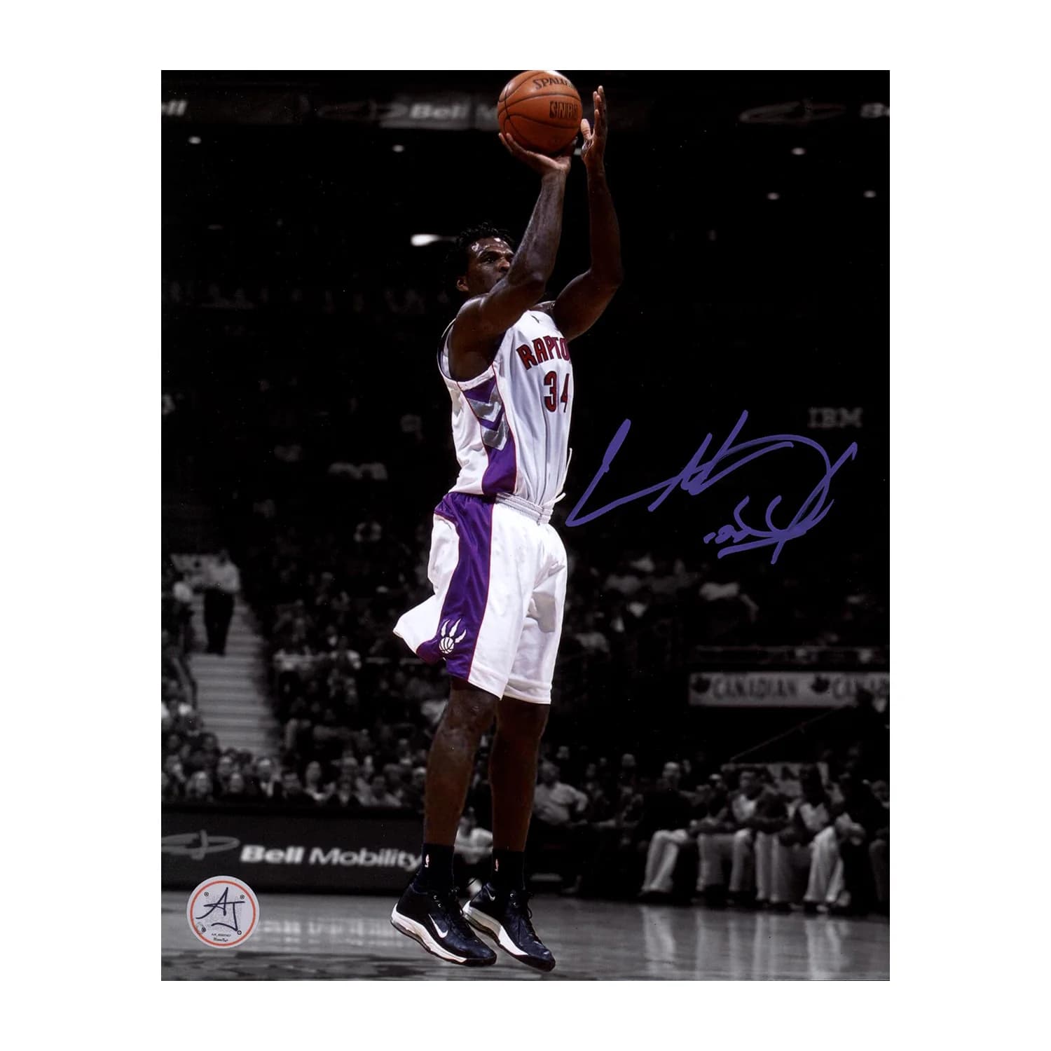 Charles Oakley Autographed Toronto Raptors Colour Isolation 8x10 Photo Charles Oakley Photo 8x10-toronto-raptors-colour-isolation, supplier stock photo