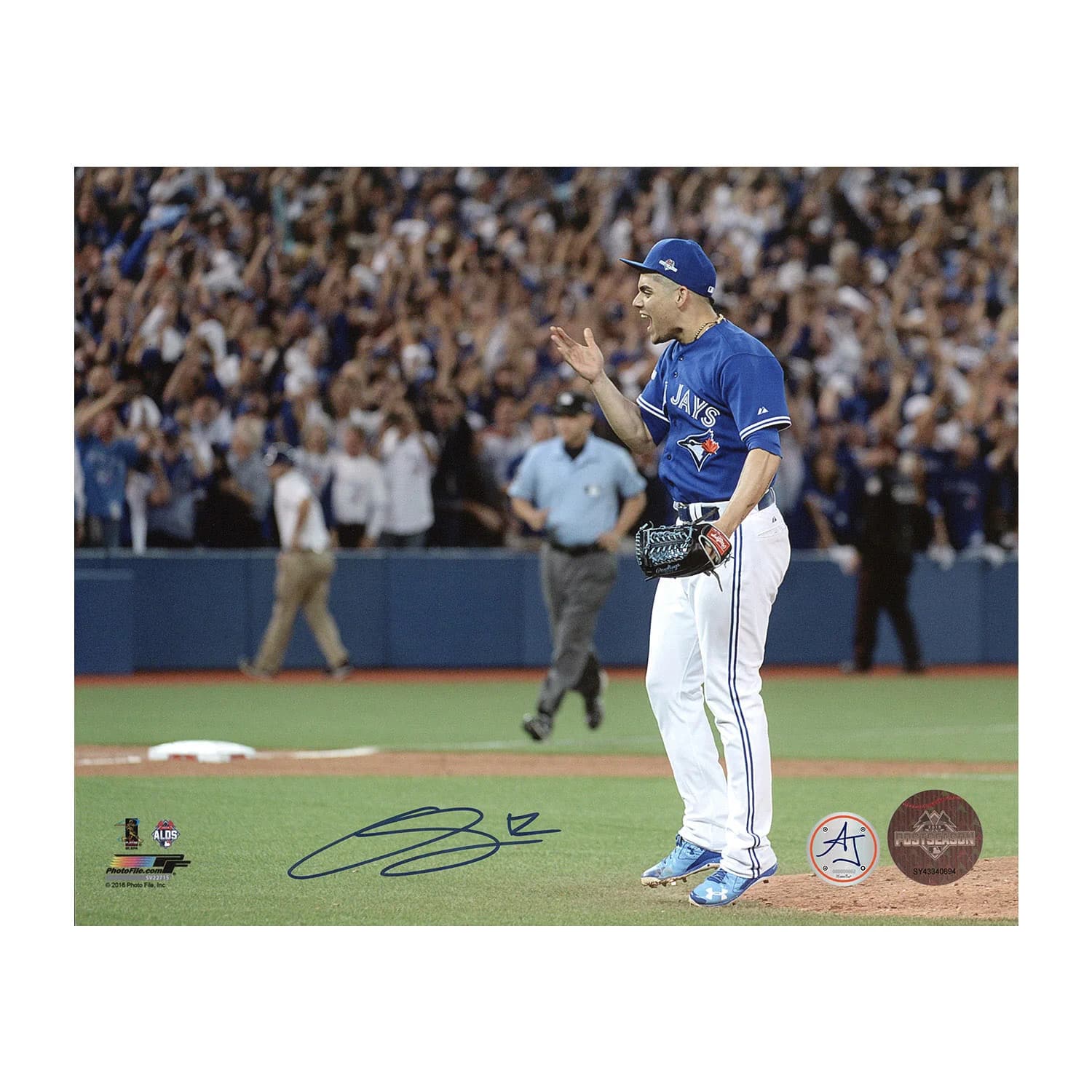 Roberto Osuna Signed Toronto Blue Jays Baseball 8x10 Photo Roberto Osuna Photo 8x10-toronto-blue-jays-baseball, supplier stock photo