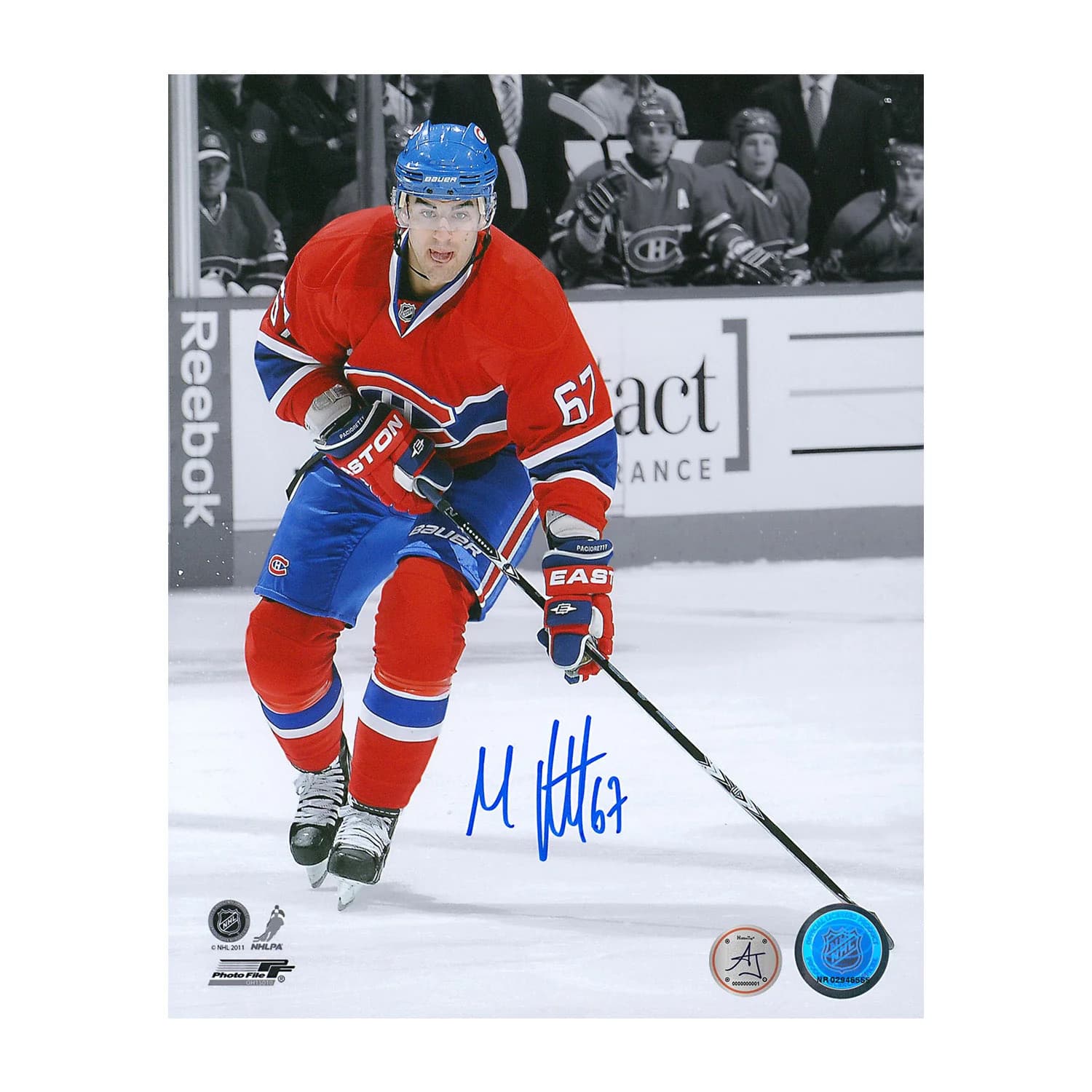 Max Pacioretty Autographed Montreal Canadiens colour Isolation 8x10 Photo Max Pacioretty Photo 8x10-colour-isolation, Montreal Canadiens, supplier stock photo