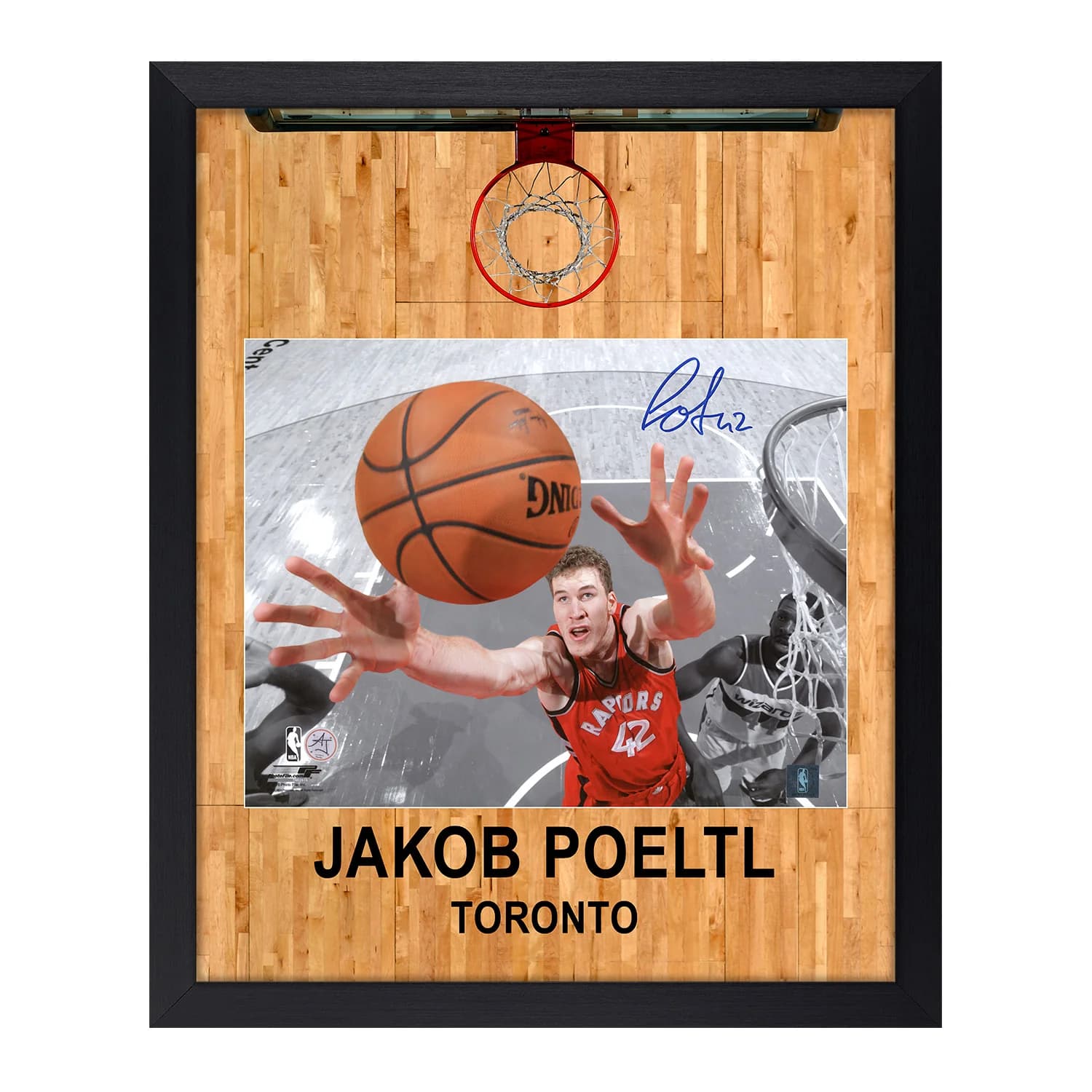 Jakob Poeltl Signed Toronto Raptors Aerial Hoop Graphic 18x22 Frame Jakob Poeltl Other 18x22-toronto-raptors-aerial-hoop-graphic-frame, supplier stock photo