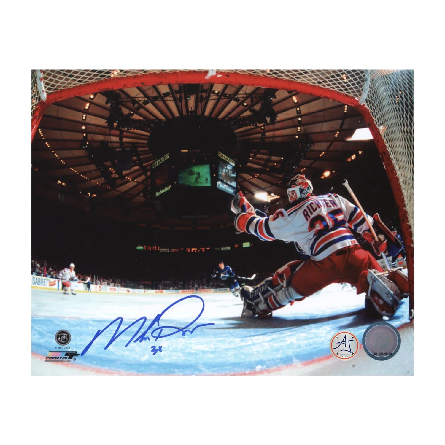 Mike Richter Signed New York Rangers Between The Pipes 8x10 Photo Mike Richter Photo 8x10-between-pipes, New York Rangers, supplier stock photo