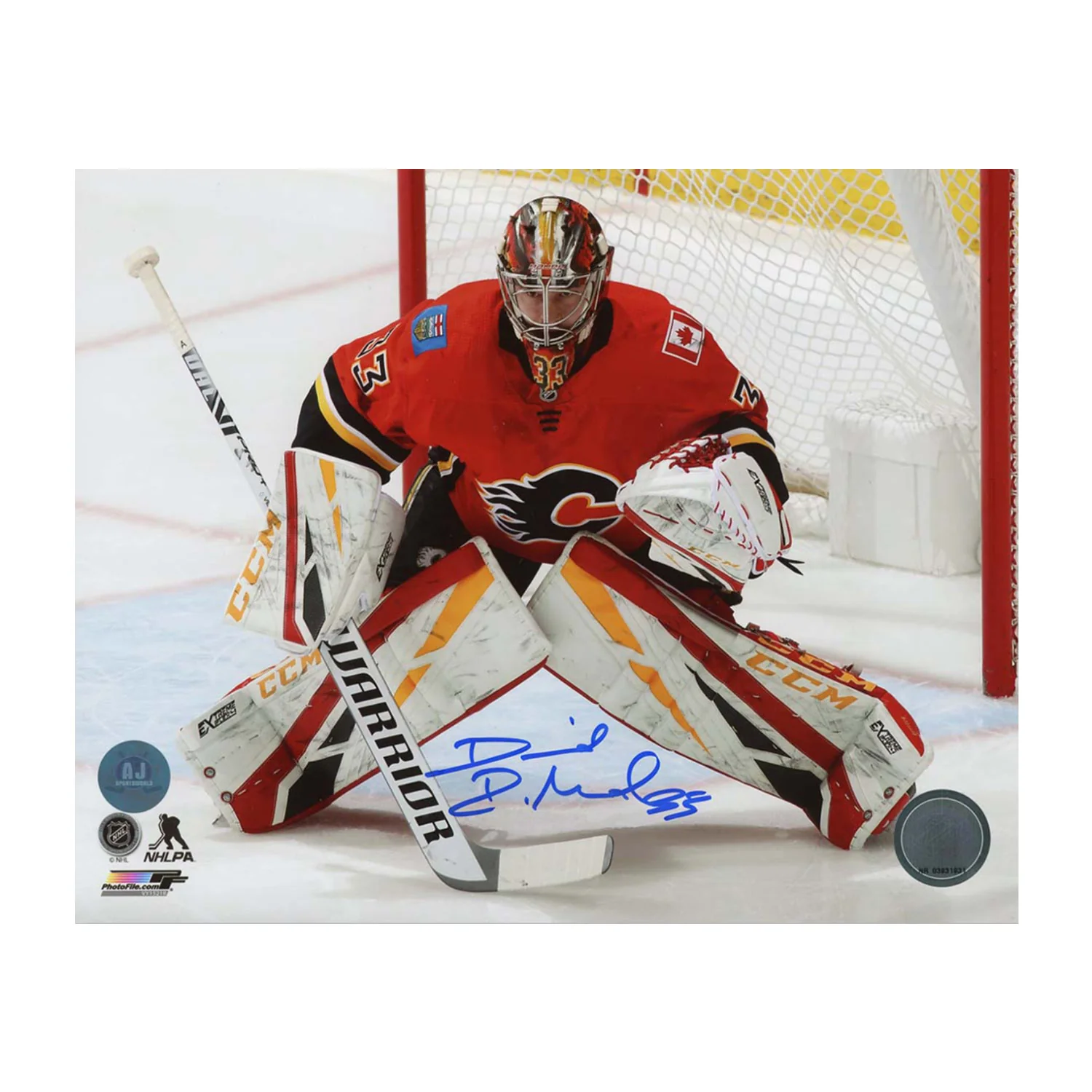 David Rittich Calgary Flames Autographed Goalie 8x10 Photo David Rittich Photo 8x10-goalie, Calgary Flames, supplier stock photo