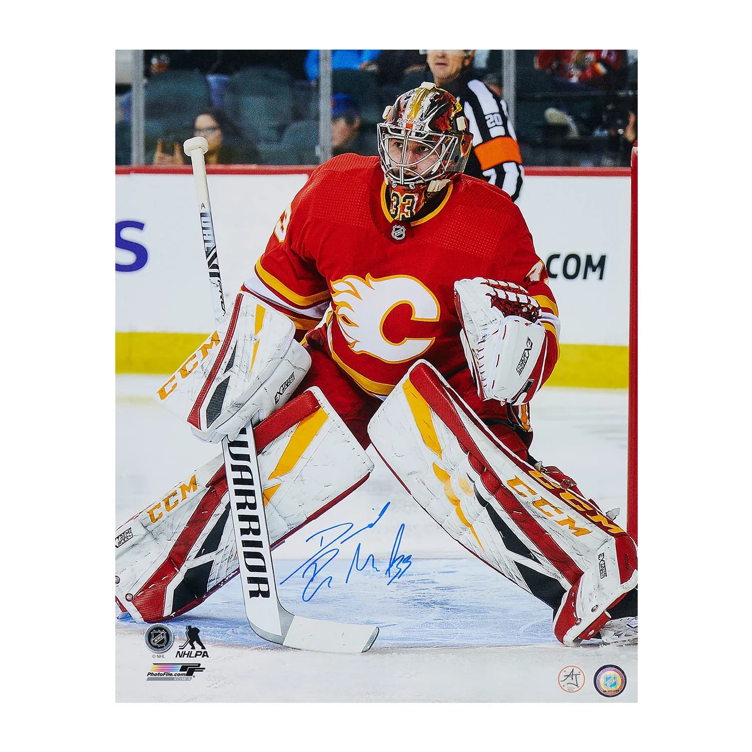David Rittich Signed Calgary Flames Goalie 16x20 Photo David Rittich Photo 16x20-david-rittich-calgary-flames-goalie, Calgary Flames, supplier stock photo
