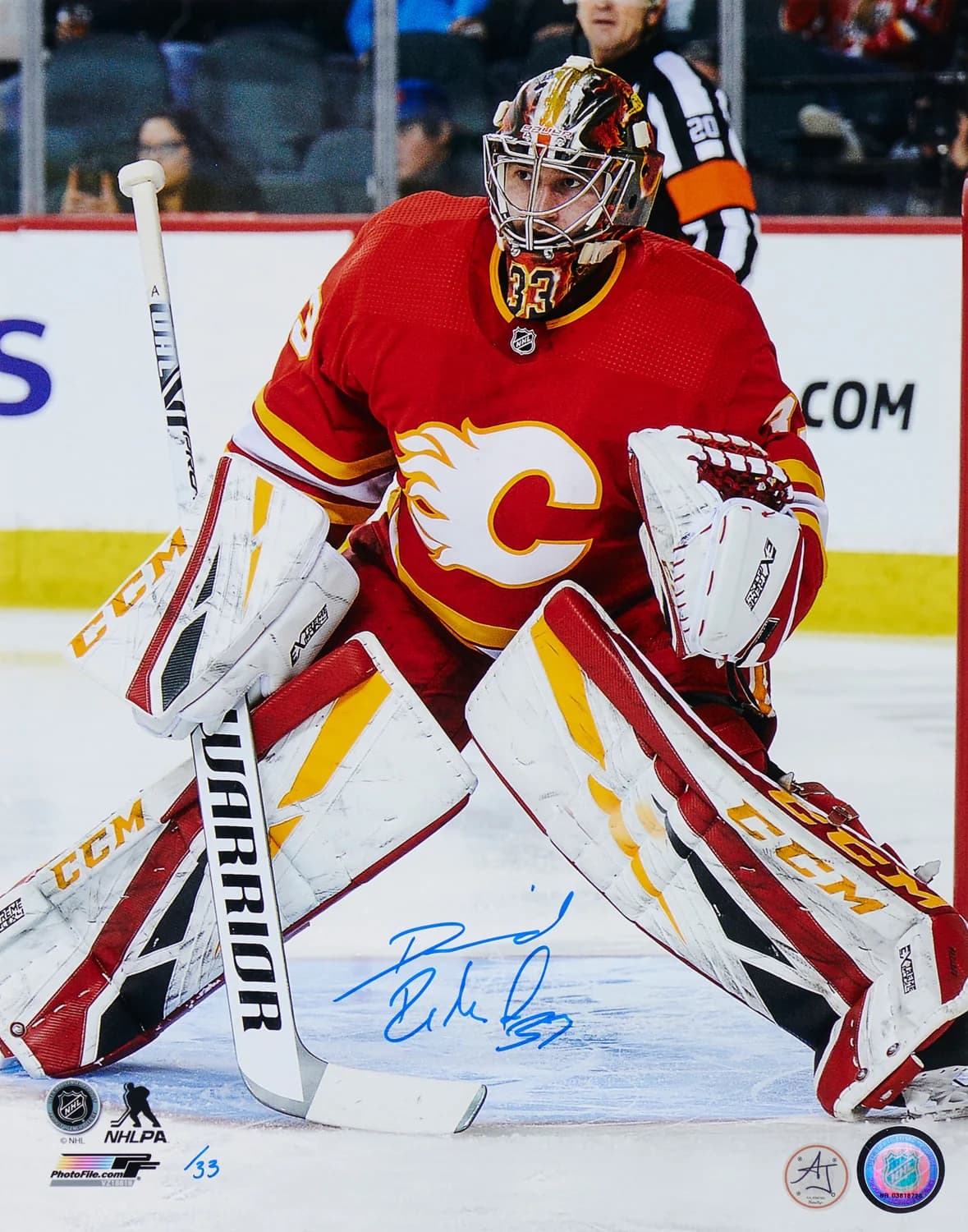 David Rittich Autographed Flames Goalie 11x14 Photo David Rittich Photo 11x14-david-rittich-flames-goalie, Calgary Flames, supplier stock photo