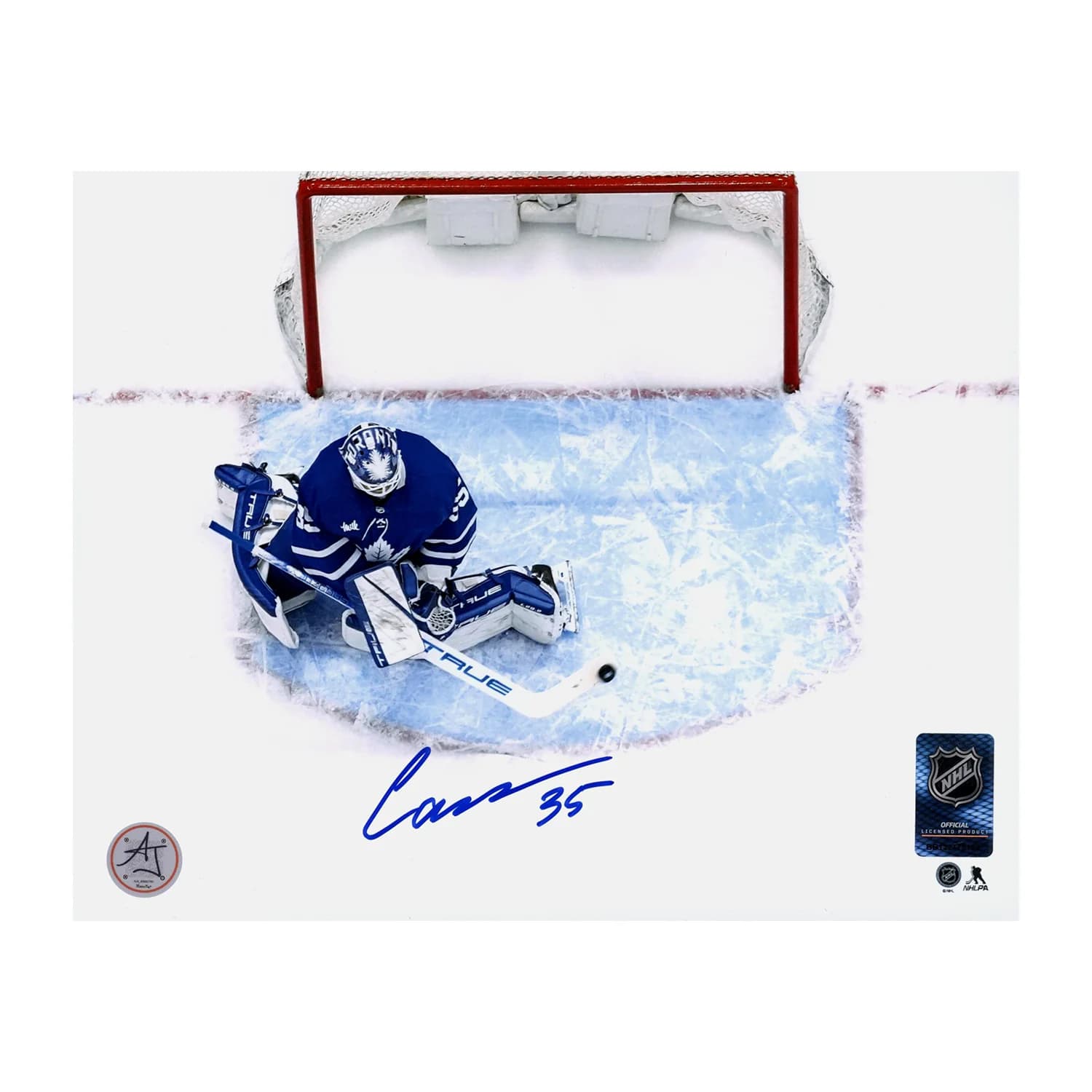 Ilya Samsonov Signed Toronto Maple Leafs Aerial View 8x10 Photo Ilya Samsonov Photo 8x10-aerial-view, Toronto Maple Leafs, supplier stock photo