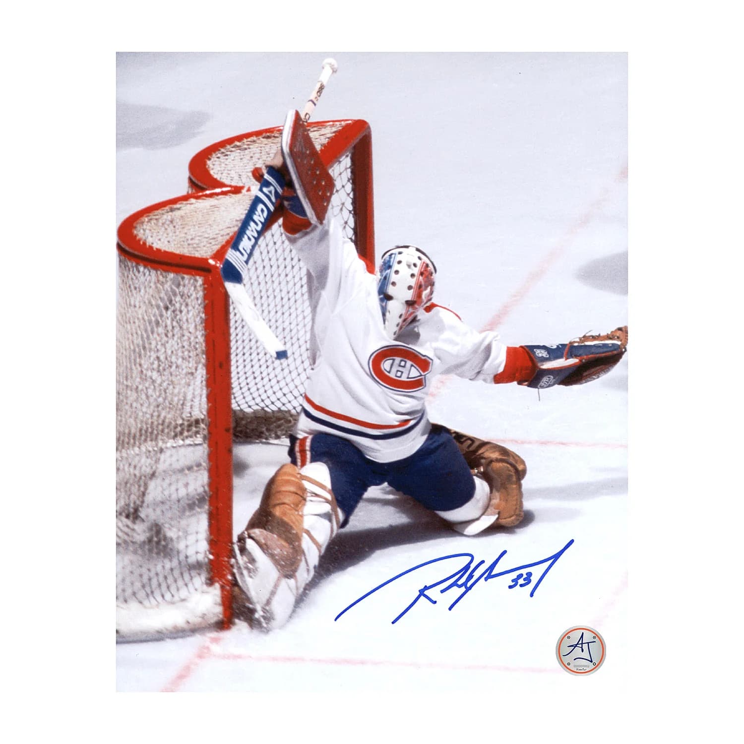 Richard Sevigny Montreal Canadiens Autographed Goalie 8x10 Photo Richard Sevigny Photo 8x10-goalie, Montreal Canadiens, supplier stock photo