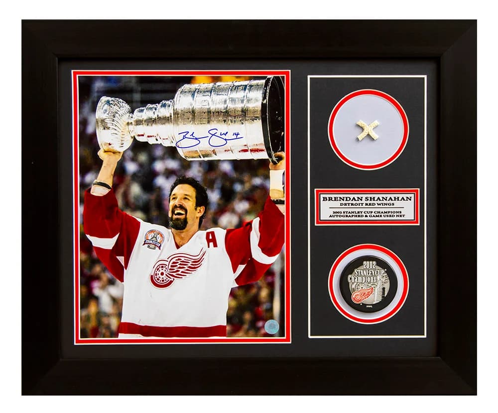 Brendan Shanahan Red Wings 2002 Stanley Cup Signed & Game Used Net 20x24 Frame Brendan Shanahan Other 20x24-2002-stanley-cup-game-used-net, Detroit Red Wings, supplier stock photo