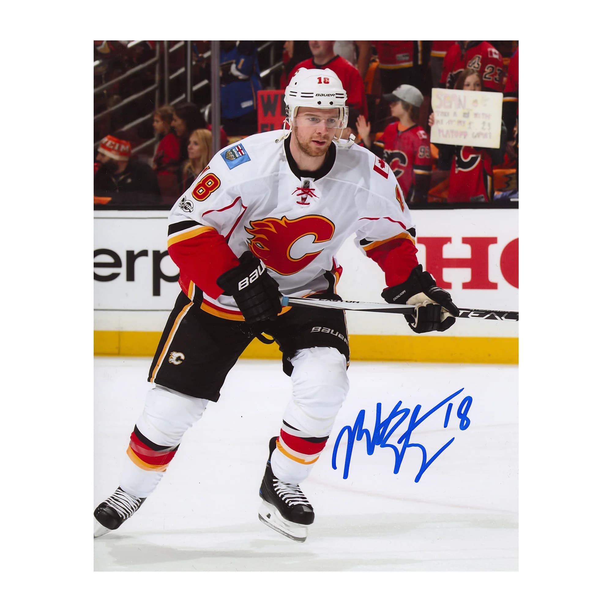 Matt Stajan Autographed Calgary Flames Hockey 8x10 Photo Matt Stajan Photo 8x10-hockey, Calgary Flames, supplier stock photo