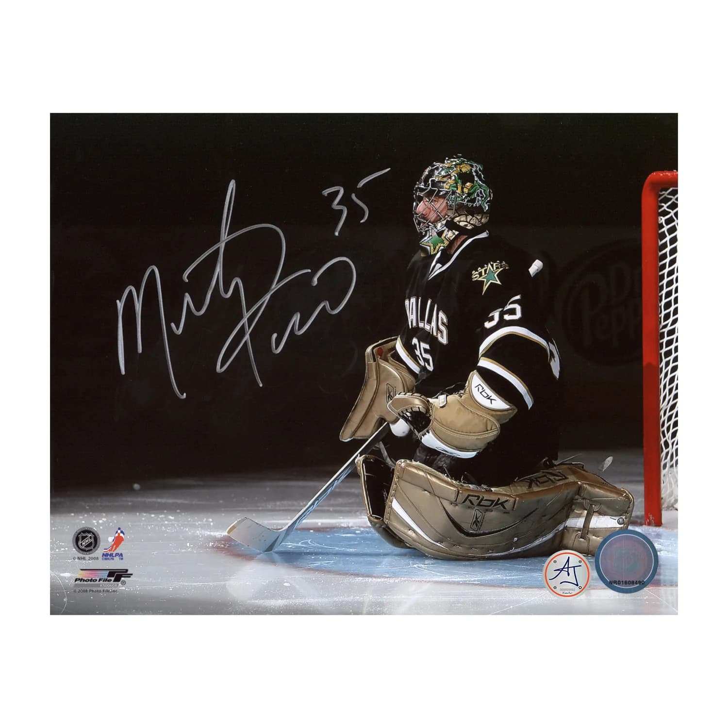 Marty Turco Autographed Dallas Stars Playoff Intro 8x10 Photo Marty Turco Photo 8x10-playoff-intro, Dallas Stars, supplier stock photo