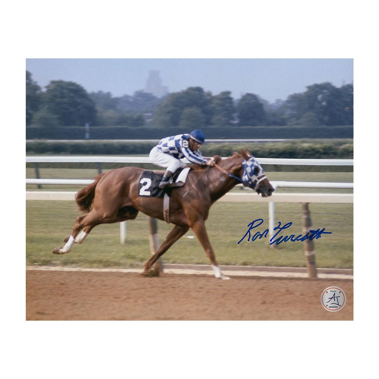 Ron Turcotte Autographed Secretariat Belmont Stakes Horse Racing 8x10 Photo Ron Turcotte Photo 8x10-secretariat-belmont-stakes-horse-racing, supplier stock photo