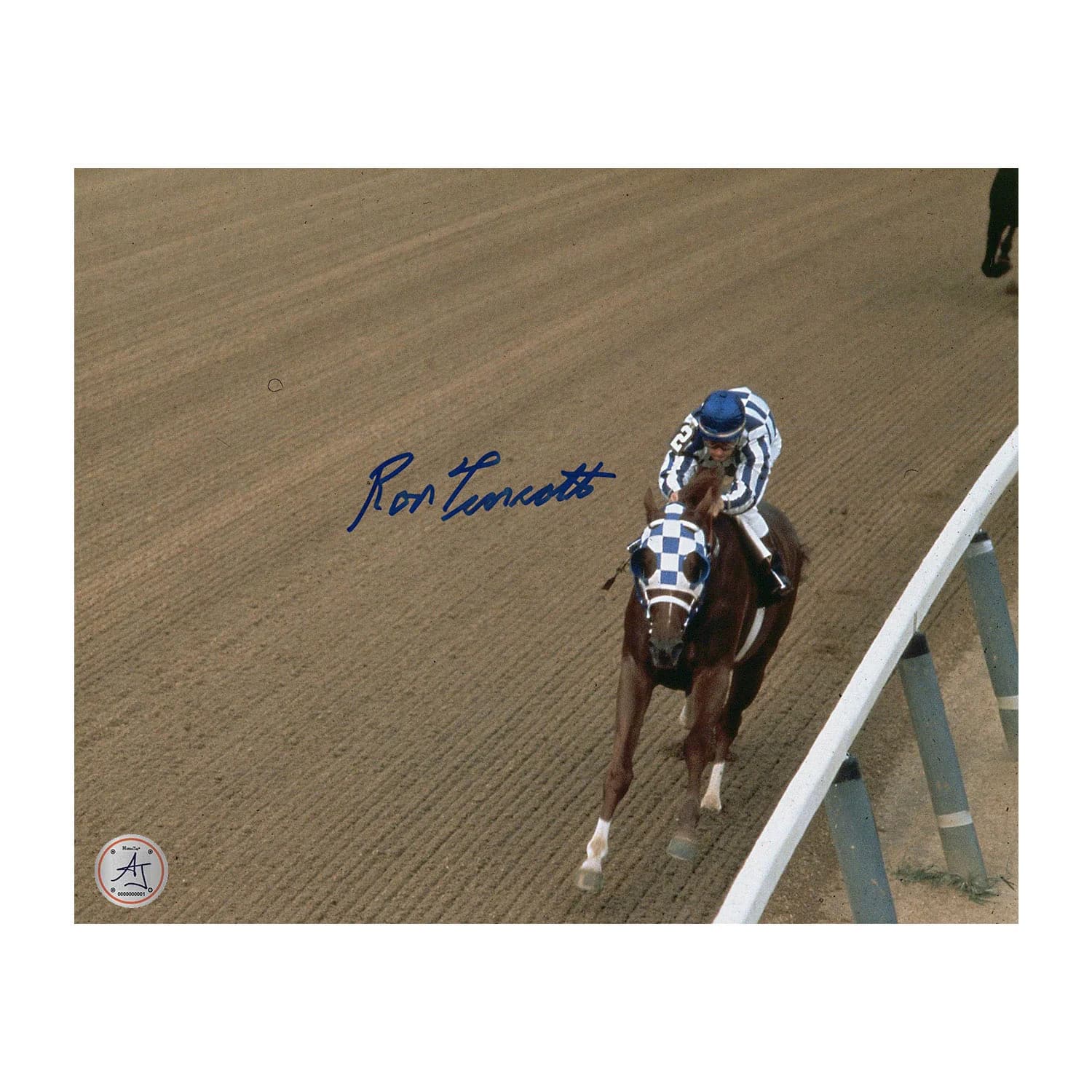 Ron Turcotte Signed Riding Secretariat Belmont Stakes Overhead 8x10 Photo Ron Turcotte Photo 8x10-riding-secretariat-belmont-stakes-overhead, supplier stock photo