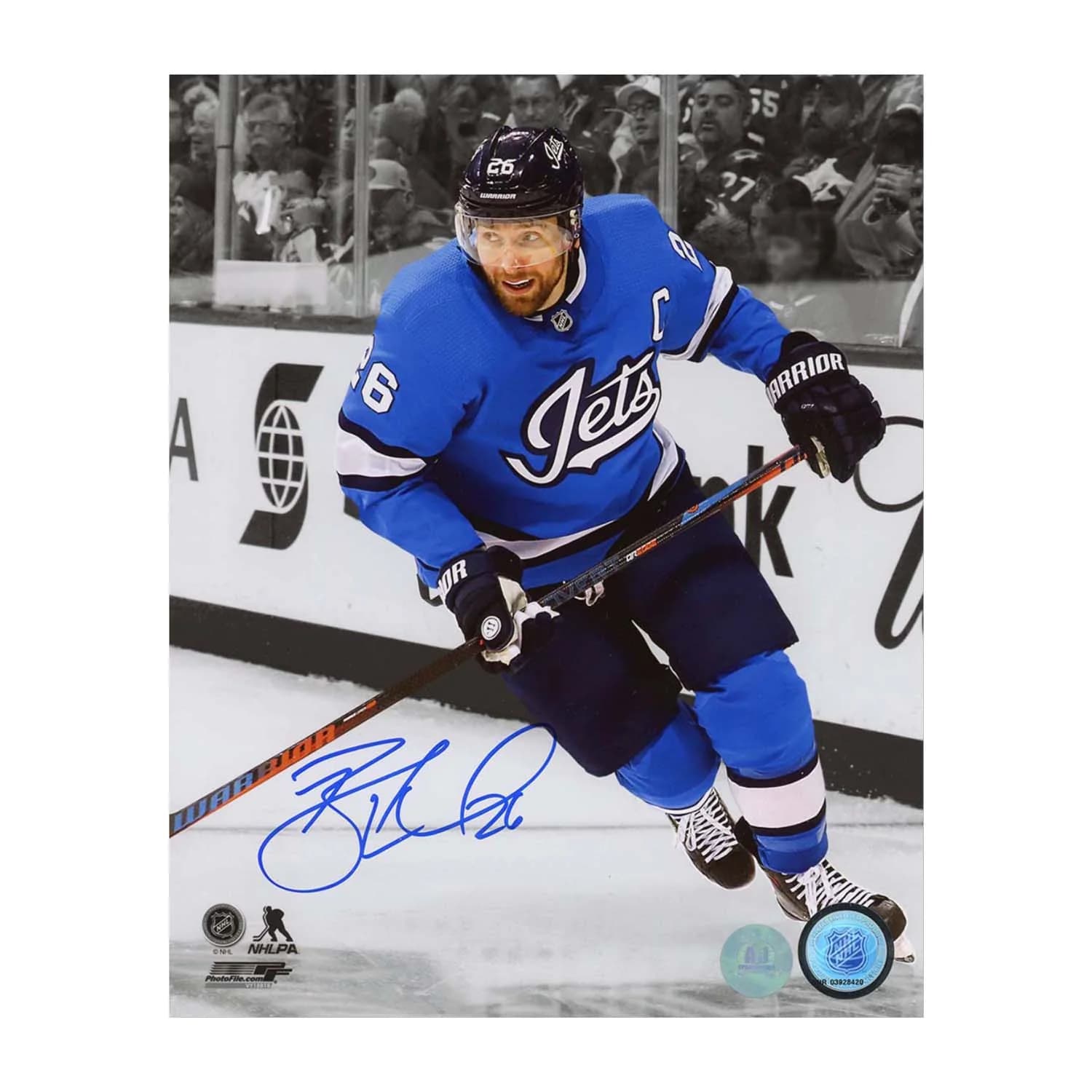 Blake Wheeler Signed Winnipeg Jets colour Isolation 8x10 Photo Blake Wheeler Photo 8x10-colour-isolation, Winnipeg Jets, supplier stock photo