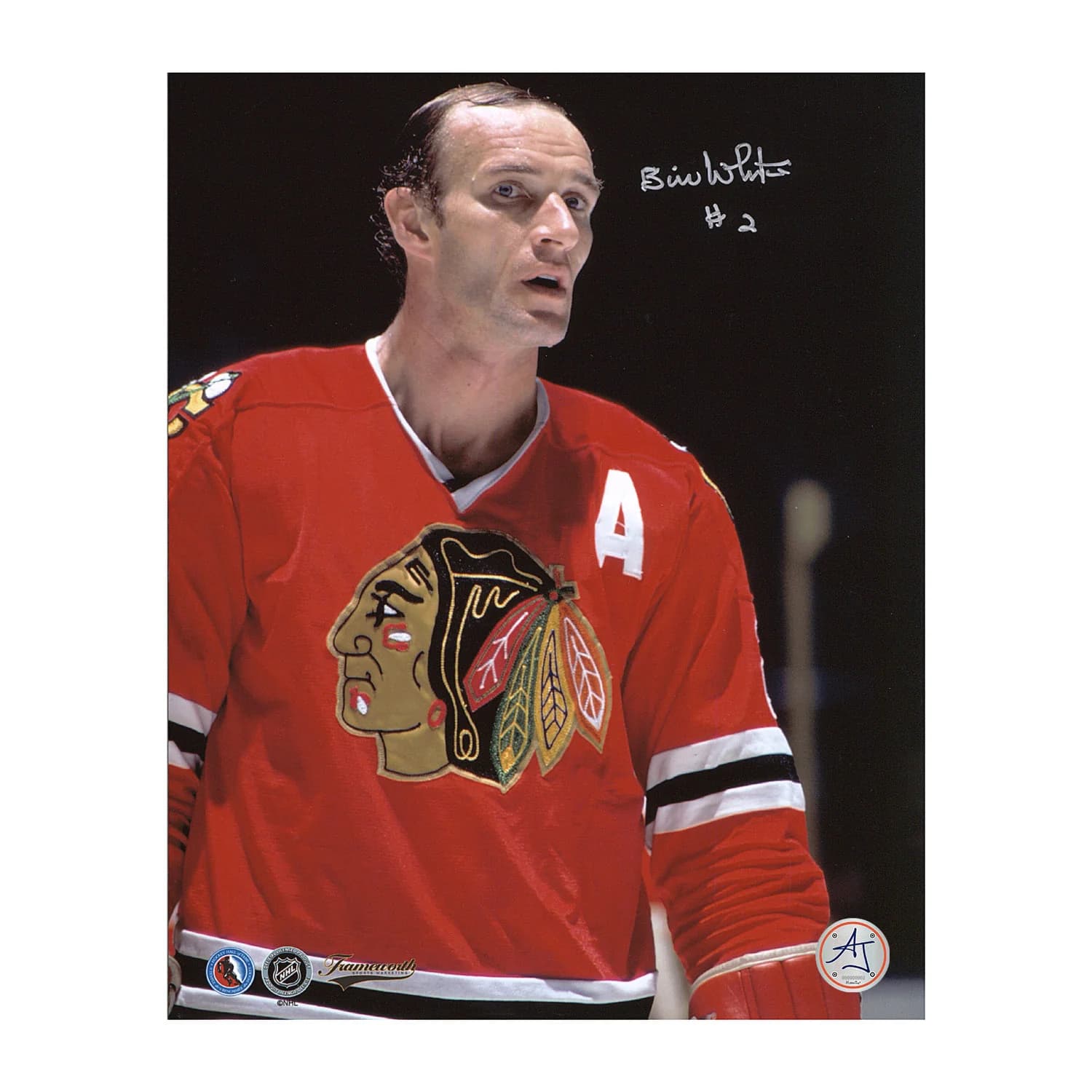 Bill White Signed Chicago Blackhawks Half Body Portrait 8x10 Photo Bill White Photo 8x10-half-body-portrait, Chicago Blackhawks, supplier stock photo