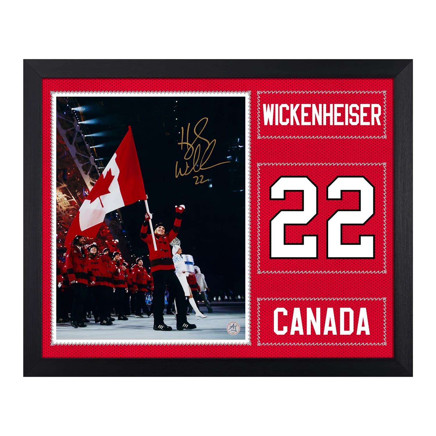 Hayley Wickenheiser Signed Team Canada Uniform Graphic 19x23 Frame Hayley Wickenheiser Jersey 19x23-team-canada-uniform-graphic-frame, supplier stock photo