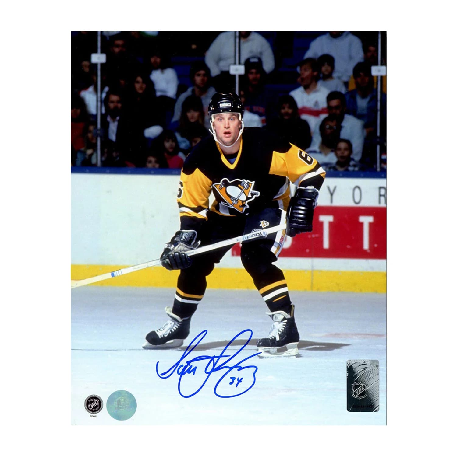 Scott Young Autographed Pittsburgh Penguins Hockey 8x10 Photo Scott Young Photo 8x10-hockey, Pittsburgh Penguins, supplier stock photo