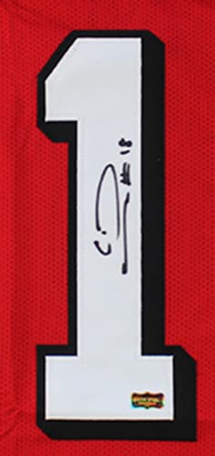 Calvin Ridley Signed Atlanta Custom Red Jersey Calvin Ridley Jersey calvin-ridley-atlanta-red, view 2, supplier stock photo