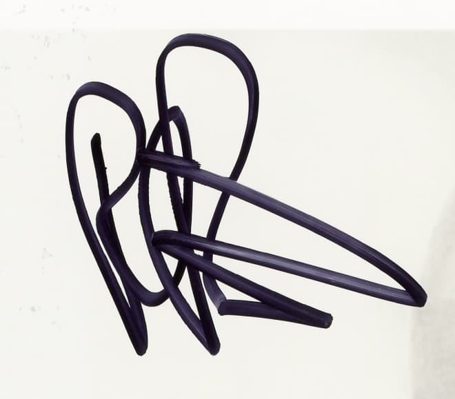 Rick Rosenthal Signed Halloween 2 Unframed 8×10 Photo – with Camera Rick Rosenthal Photo 8x10-rick-rosenthal-halloween-2-unframed-8, view 2, supplier stock photo