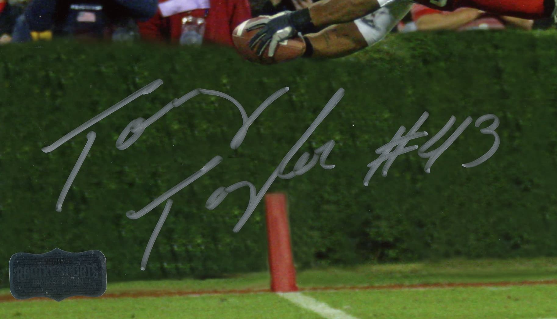 Tony Taylor Signed Georgia Bulldogs Unframed 8×10 NCAA Diving for Ball Photo Photo 8x10-tony-taylor-georgia-bulldogs-unframed-8, view 2, supplier stock photo